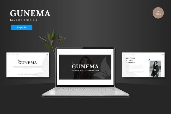 Elevating Your Presentation Strategy: The Gunema Keynote Template